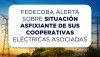 FEDECOBA ALERTA SOBRE SITUACIÓN ASFIXIANTE DE SUS COOPERATIVAS ELÉCTRICAS ASOCIADAS